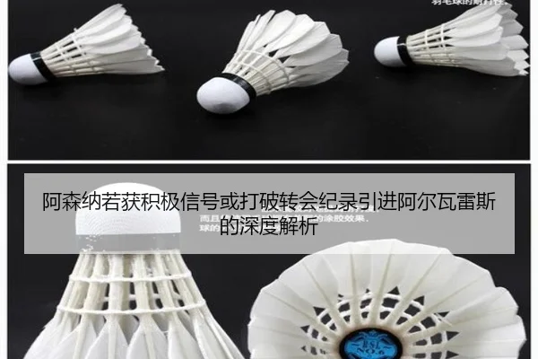 阿森纳若获积极信号或打破转会纪录引进阿尔瓦雷斯的深度解析