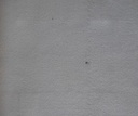 ART 151.15 COL. LINEN